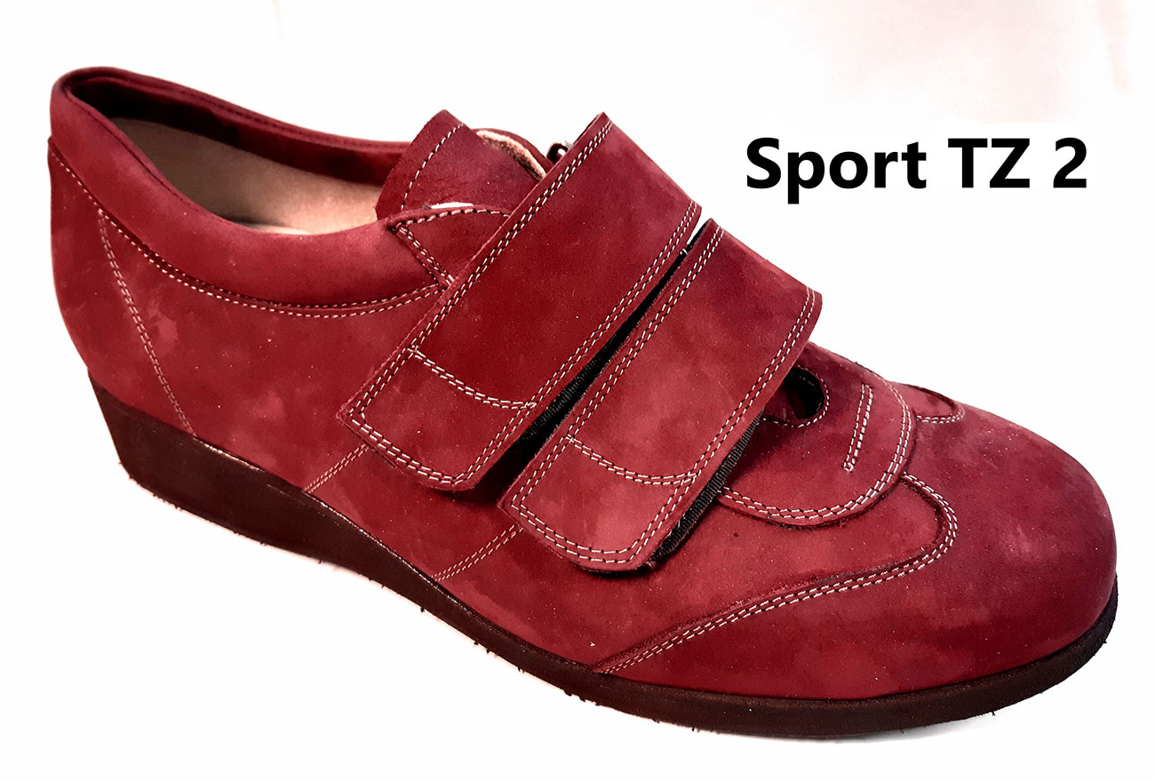 Sport-TZ-2_r.jpg